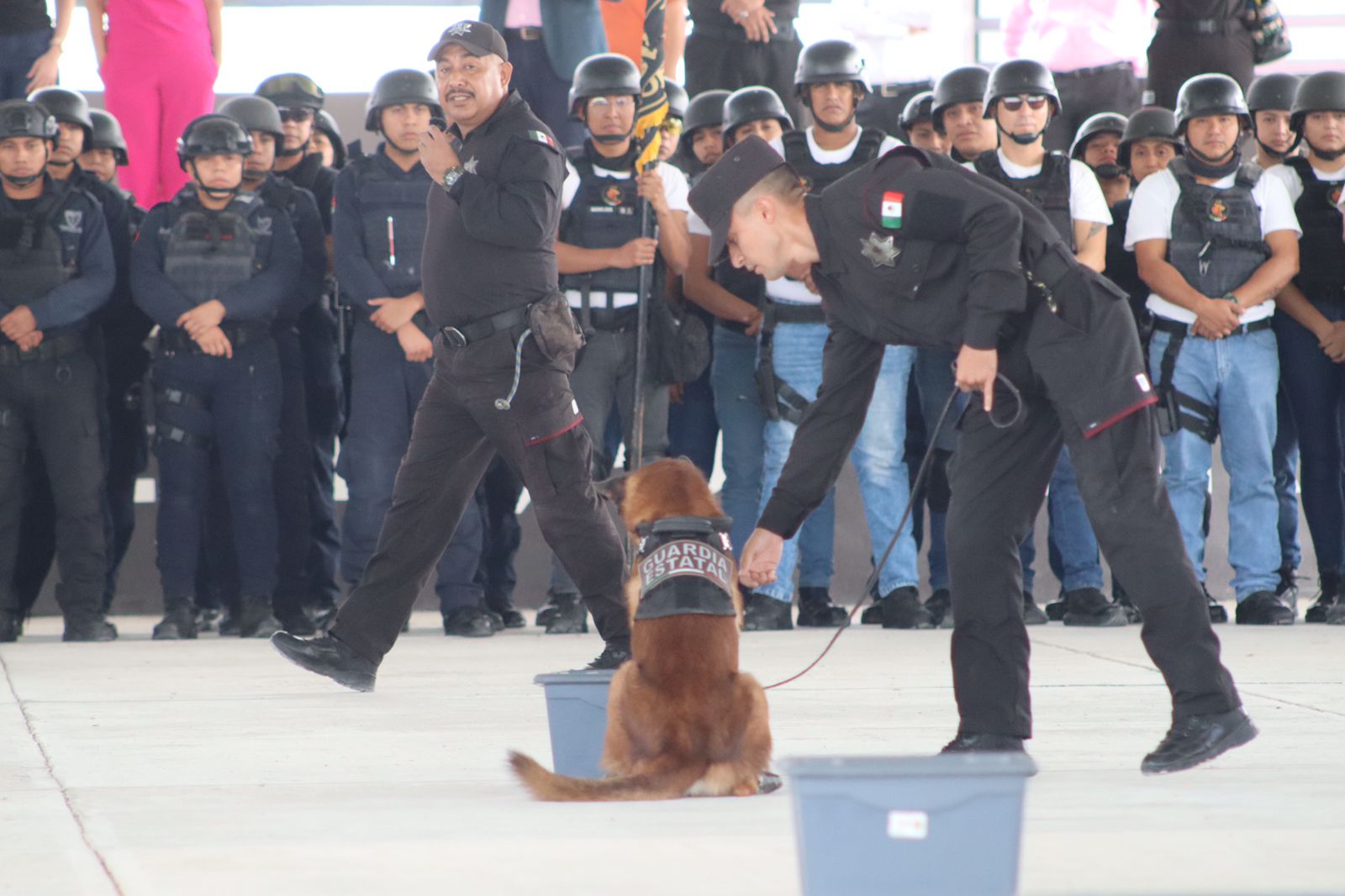 Realizan en la USJT exhibición de agrupamientos canino y montada de la SSPT