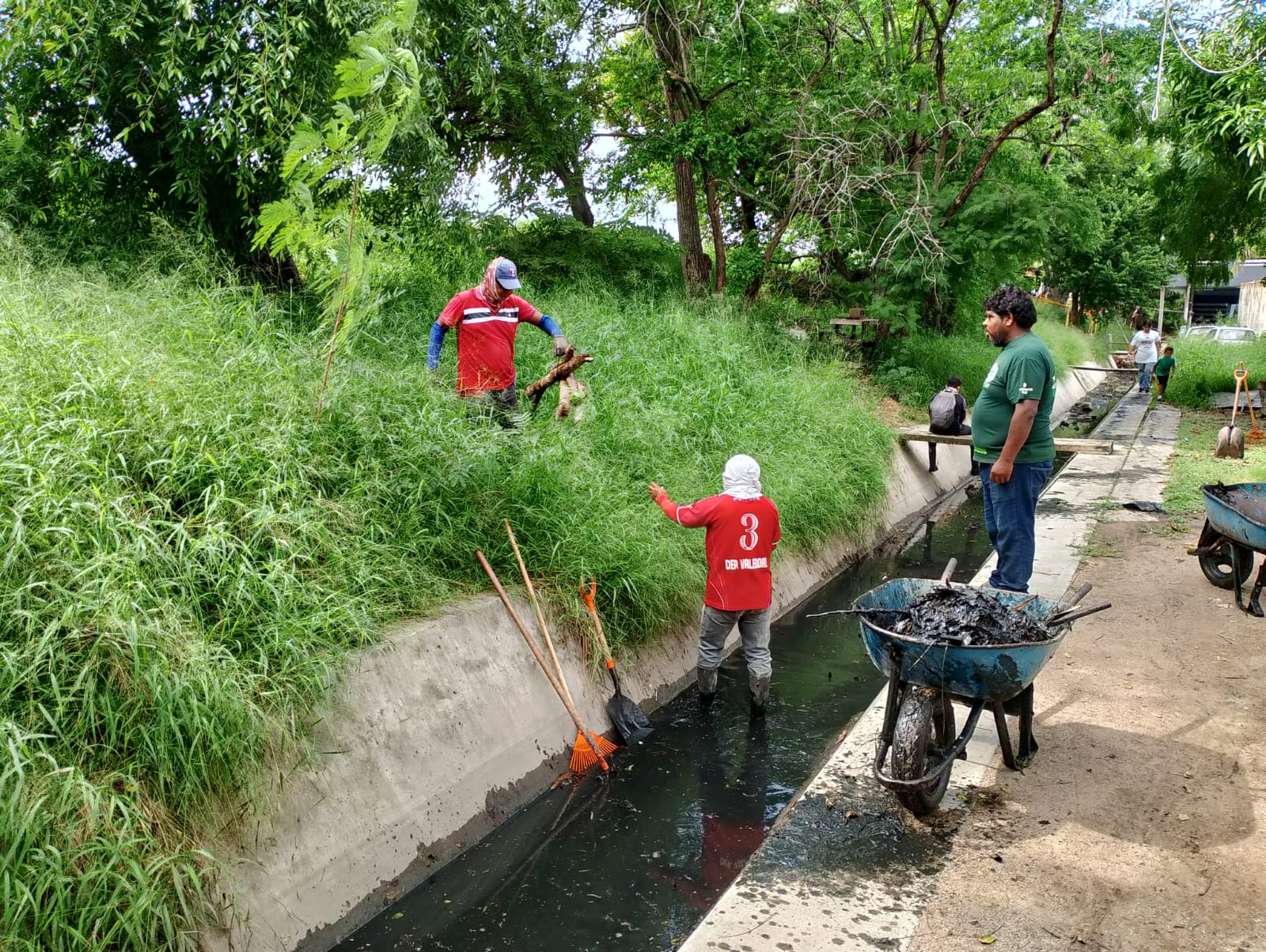 Intensifican Labores de Limpieza y Desazolve en la Red Hidráulica de Tampico