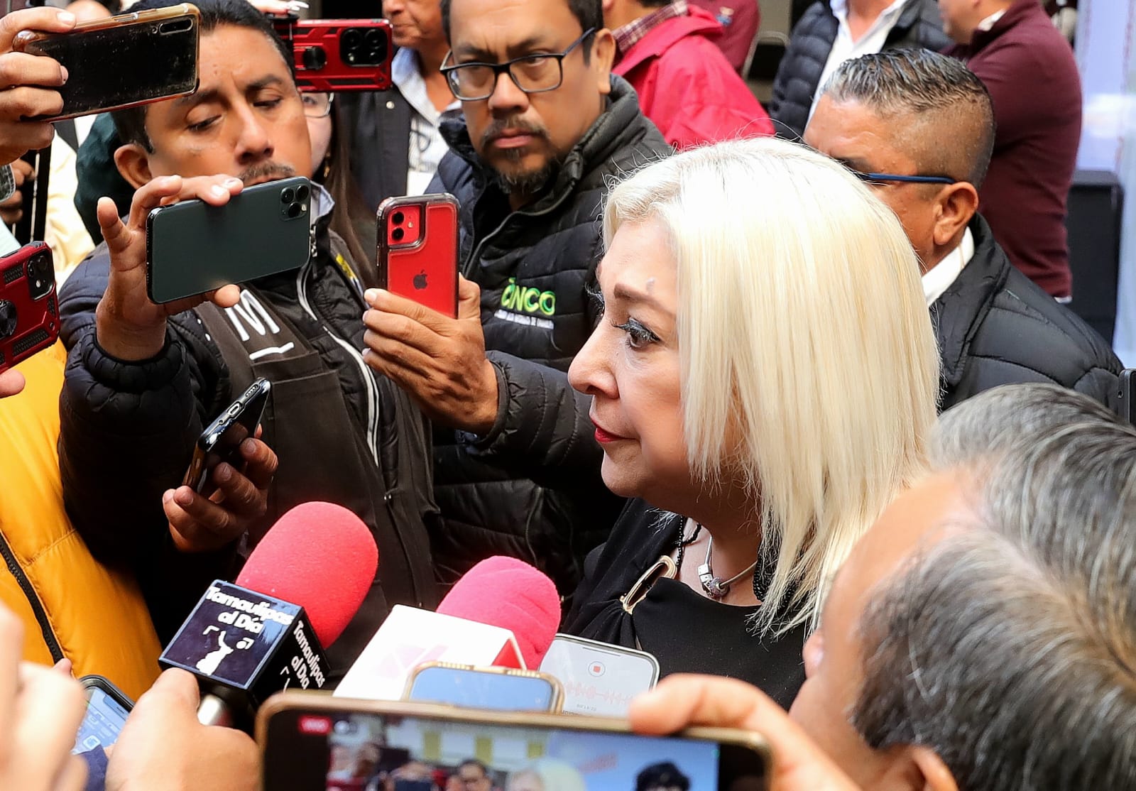 Ofrece Tamaulipas envío de placas a domicilio: Adriana Lozano