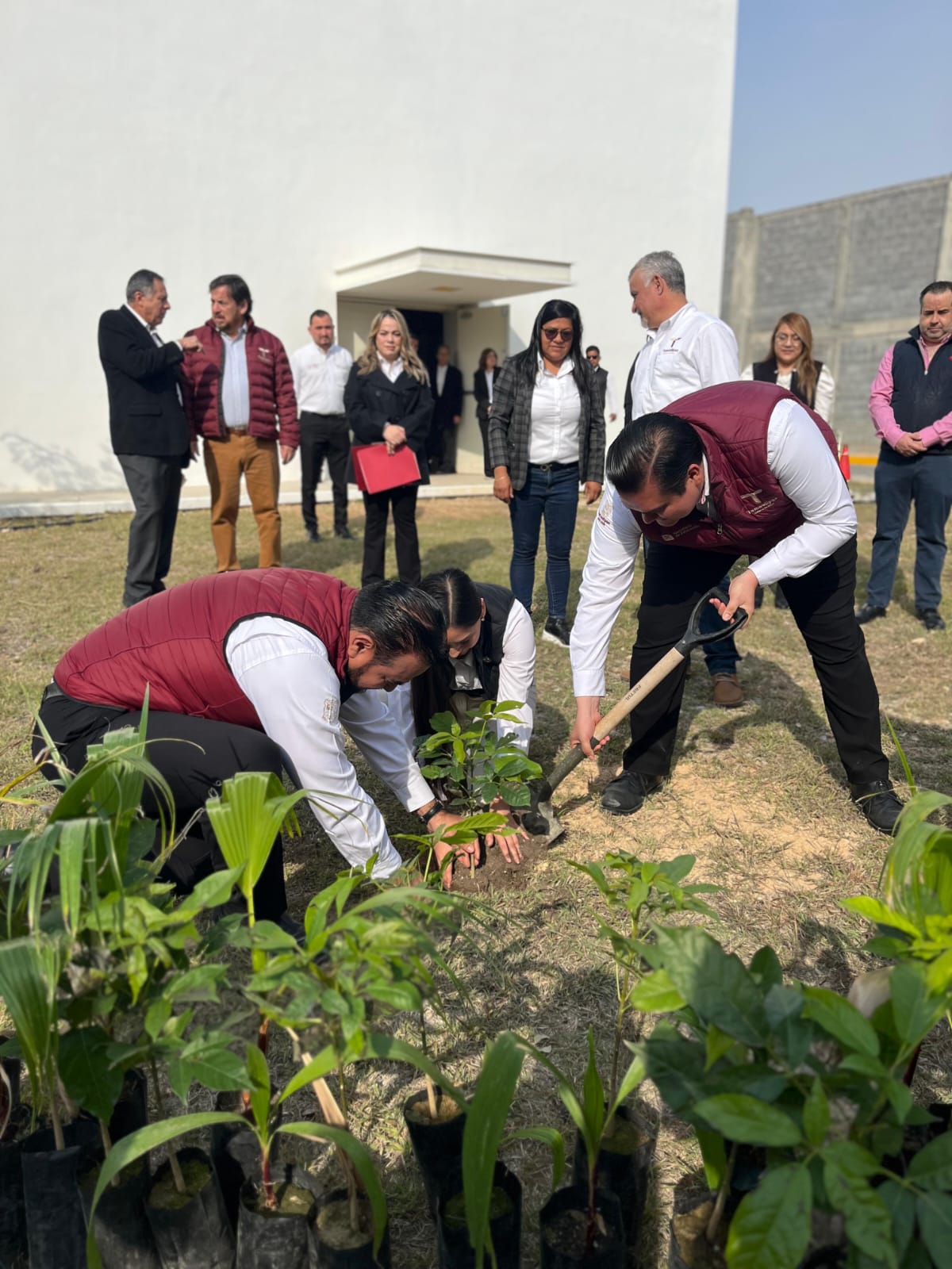 Conmemora SET y USJT Día Mundial de la Educación Ambiental