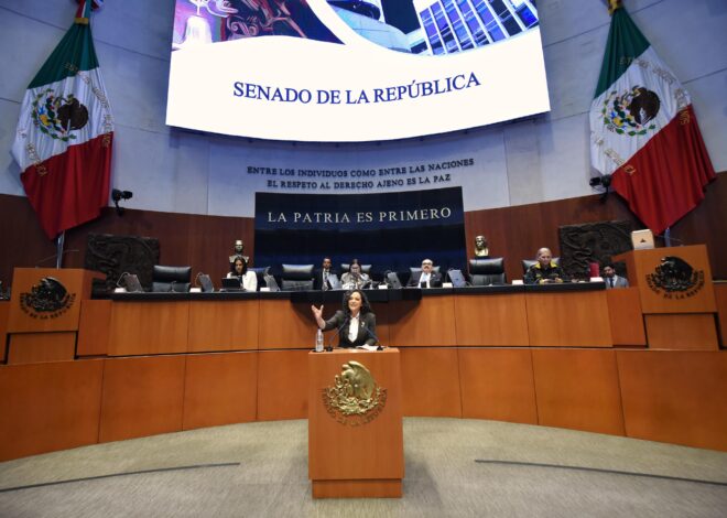 Recuperamos CFE y Pemex como empresas públicas del Estado: Olga Sosa