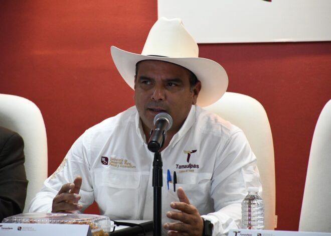 Realizan acciones de vinculación para promover las microempresas