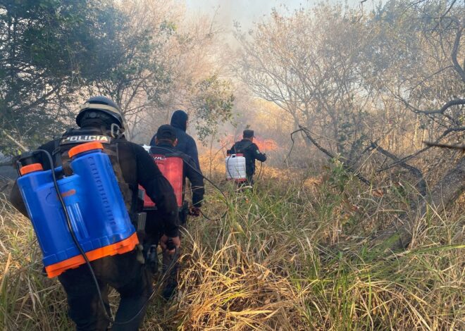 Activa SSPT Plan Tamaulipas por incendios forestales y de pastizales