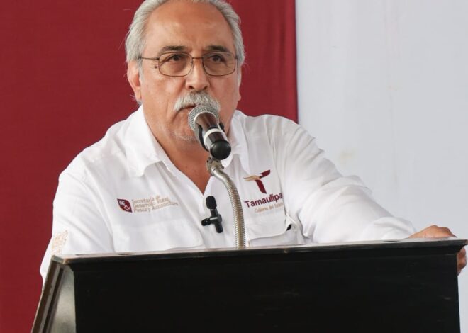 Ocupa Tamaulipas segundo lugar a nivel nacional en producción de carbón