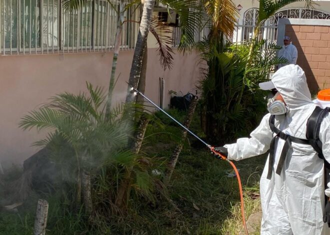 Ayuntamiento amplía acciones contra el dengue en escuelas