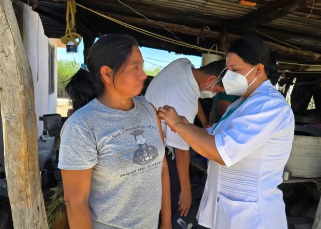 Define Salud acciones y estrategias para Primera Semana Nacional de Vacunación