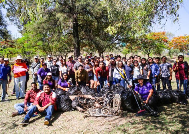 Más de mil jóvenes en Tamaulipas participan en Jornada Nacional de Tequios: INJUVE