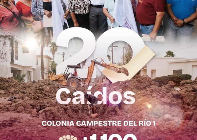 Reparación de líneas colapsadas en la colonia Campestre del Río 1 beneficia a más de mil cien habitantes