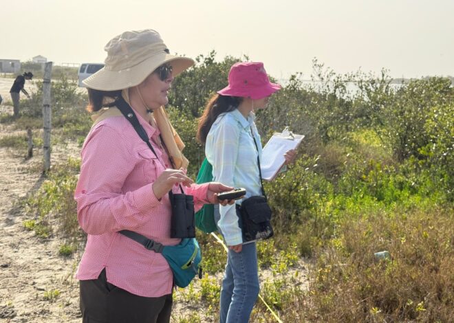 Colabora la UAT en la conservación del mangle en el litoral tamaulipeco