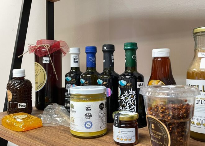 Impulsa Oficina de Representación en Nuevo León el programa “Punto Tamaulipas” para promover identidad, cultura y talento local