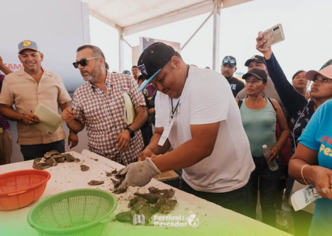 Despicadoras, ostioneros y fileteros muestran su talento en competencia