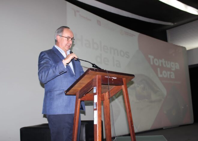 Proyecta Tamaulipas liderazgo nacional en conservación de tortuga lora