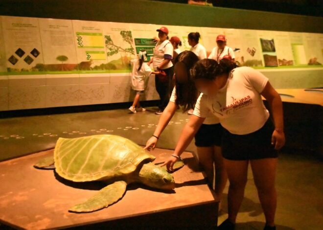 Niñas y niños de Casa Hogar viajaron de Tampico a Victoria