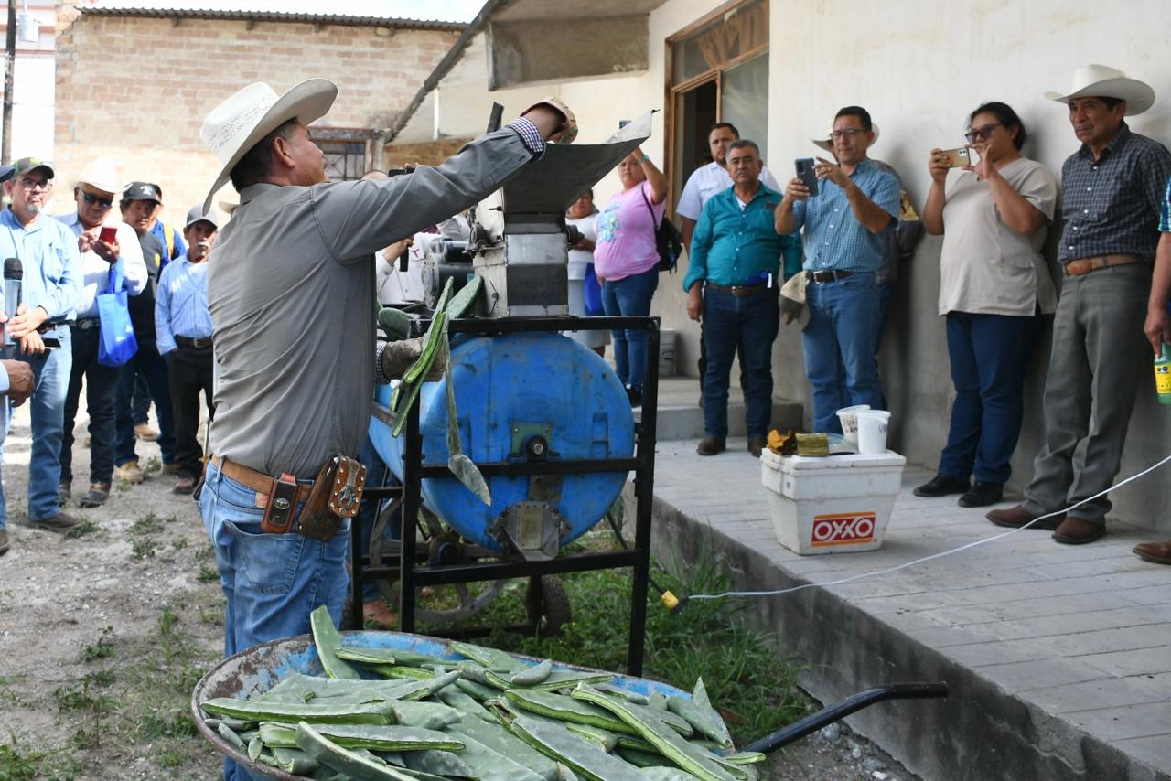 Promueven el uso del nopal como estrategia alimentaria sustentable