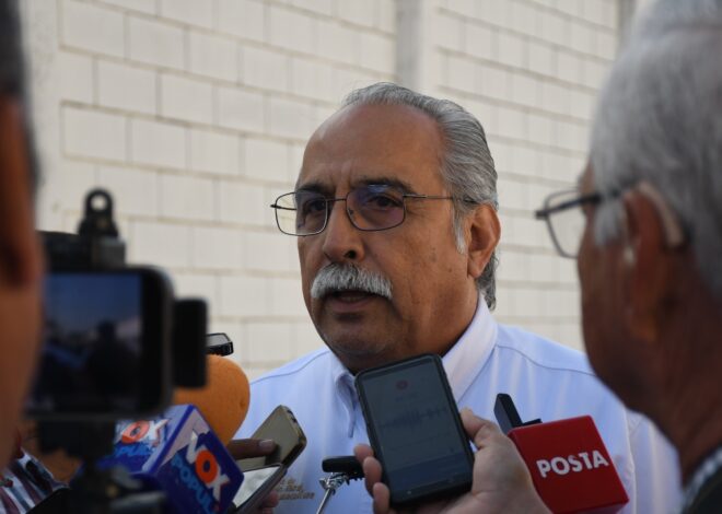 Impulsa Tamaulipas cultivo de sorgo blanco como alternativa rentable y sustentable para el campo