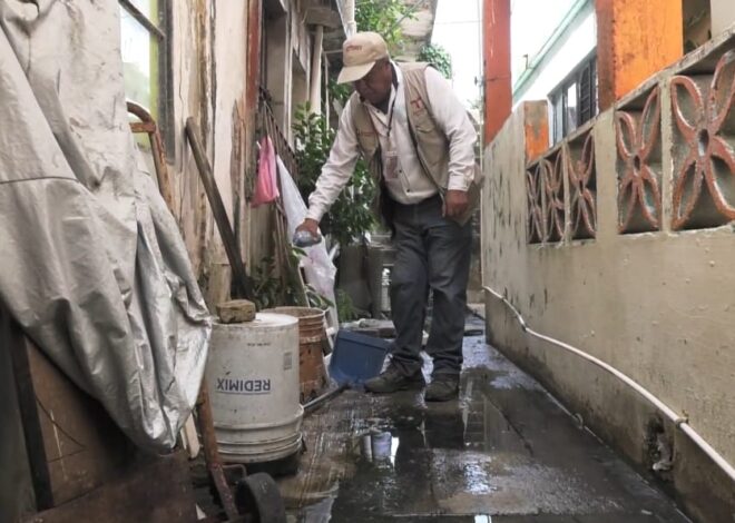 Intensifican en Tampico Lucha contra el Dengue