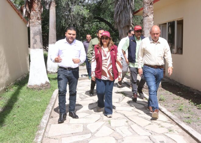 Instruyen a municipios en protocolos para manejo de cocodrilos