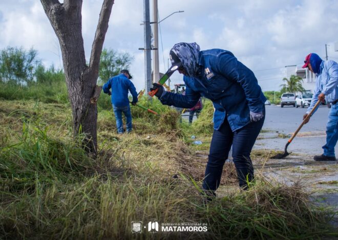 «Gobierno de Matamoros realiza trabajos de limpieza en canal de la Av. 12 de Marzo para prevenir inundaciones»