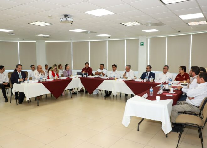 Se suma Gobierno de Tamaulipas a estrategia nacional «Ver por México»