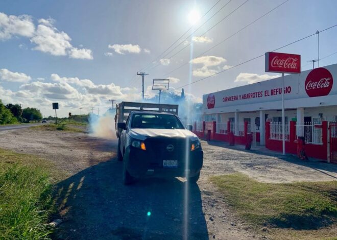 La fumigación no se detiene: el gobierno de Matamoros sigue protegiendo la salud de las familias