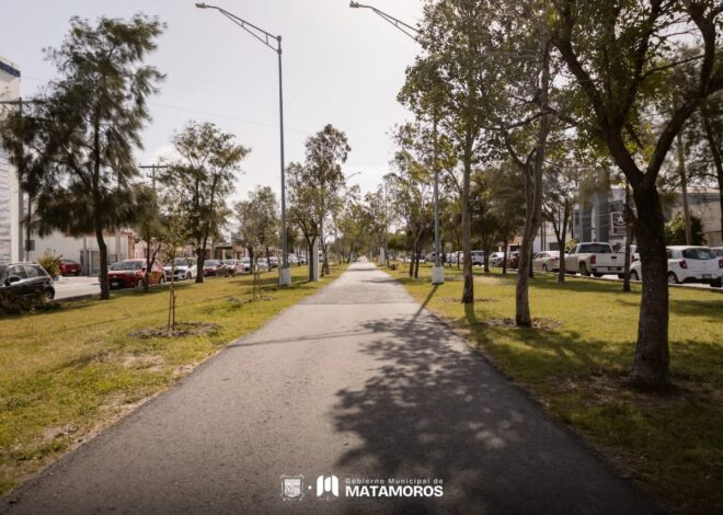 Avanza Matamoros con acciones de rehabilitación de espacios verdes en colaboración con empresas responsables