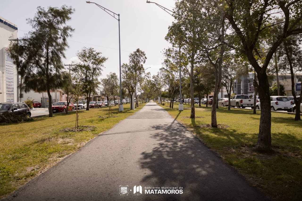 Avanza Matamoros con acciones de rehabilitación de espacios verdes en colaboración con empresas responsables
