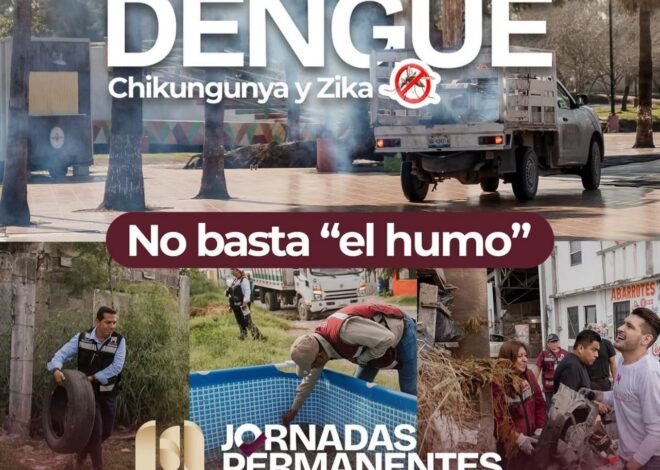 Matamoros avanza con acciones firmes contra el mosquito: Gobierno intensifica fumigaciones y limpieza en colonias