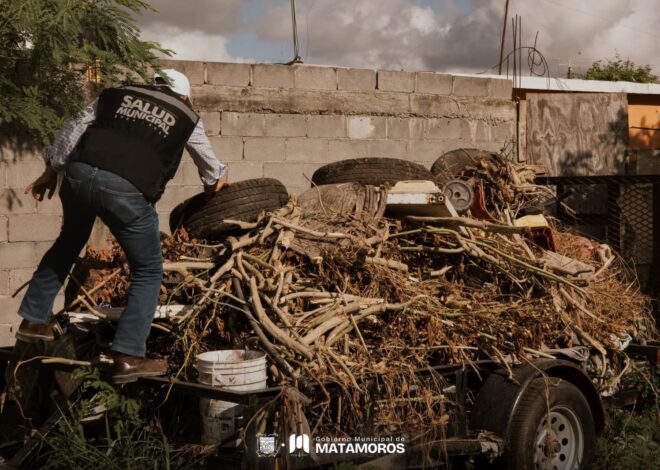 Refuerza Gobierno de Beto Granados acciones contra criaderos de mosquitos en la Francisco I. Madero