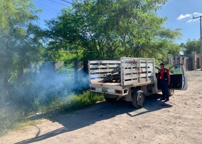 Gobierno de Beto Granados refuerza fumigación en Matamoros para combatir enfermedades transmitidas por mosquitos