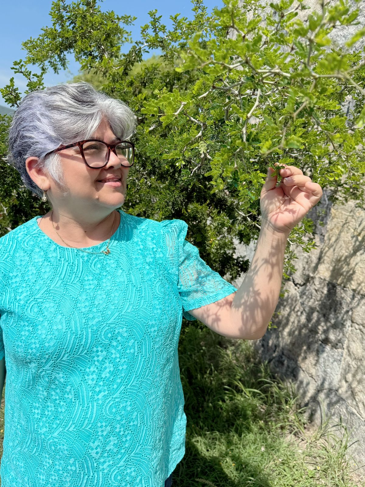 Investigadores de la UAT obtienen certificación nacional