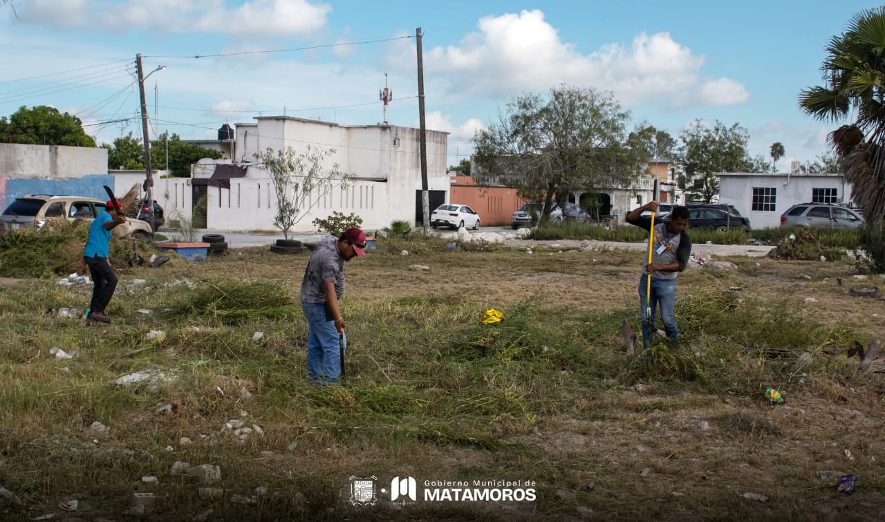 «Gobierno de Beto Granados realiza trabajos de limpieza en Lomas de San Juan»