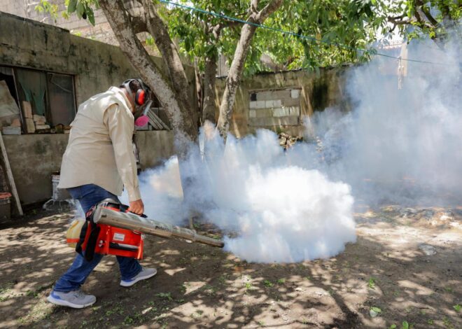 Gobierno de Tampico intensifica jornadas de descacharrización; suman 97: Mónica Villarreal