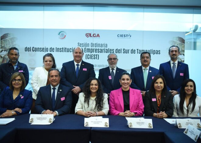 CIEST sesiona en el Senado de la República.