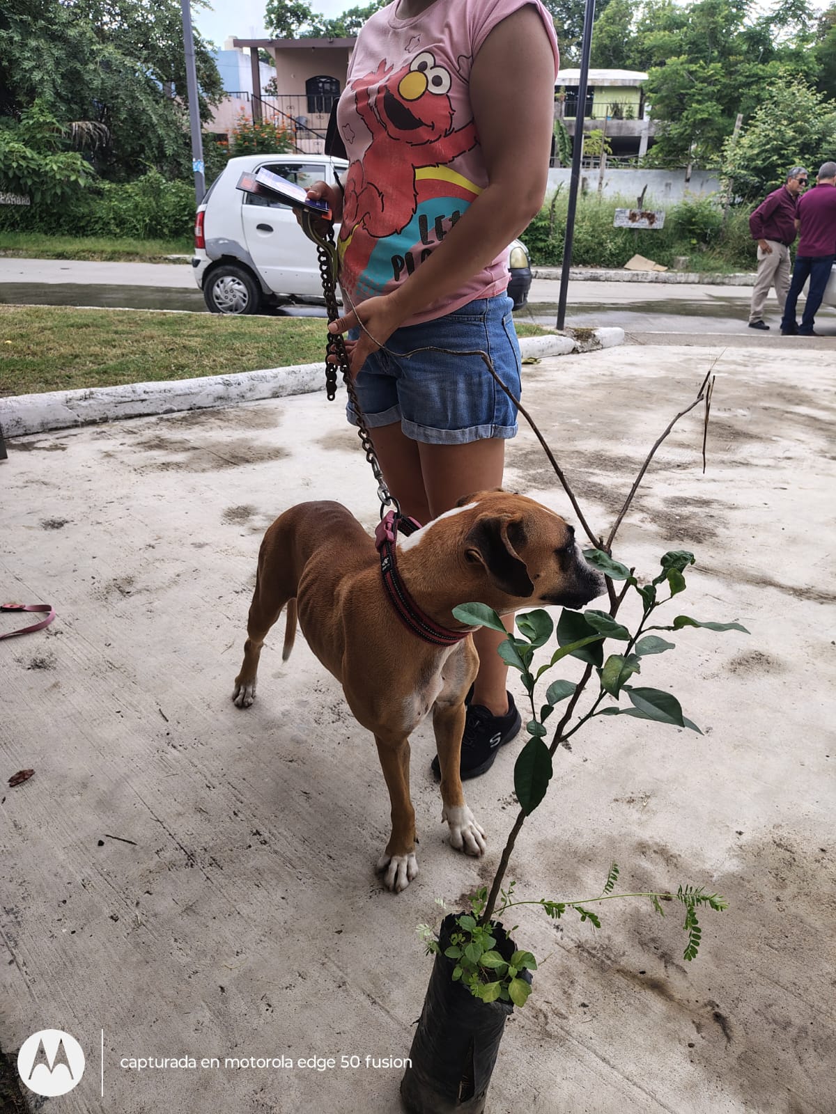 Tampico fortalece su compromiso con el medio ambiente y el bienestar animal