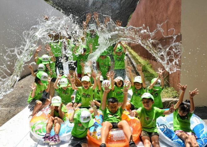 Curzoo, una opción al conocimiento y la diversión: Comisión de Parques