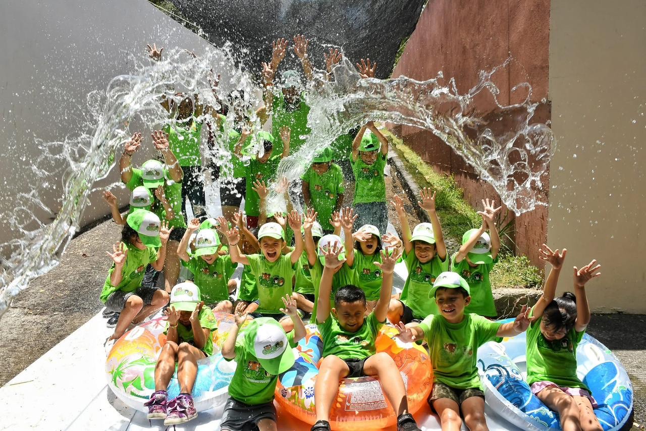 Curzoo, una opción al conocimiento y la diversión: Comisión de Parques