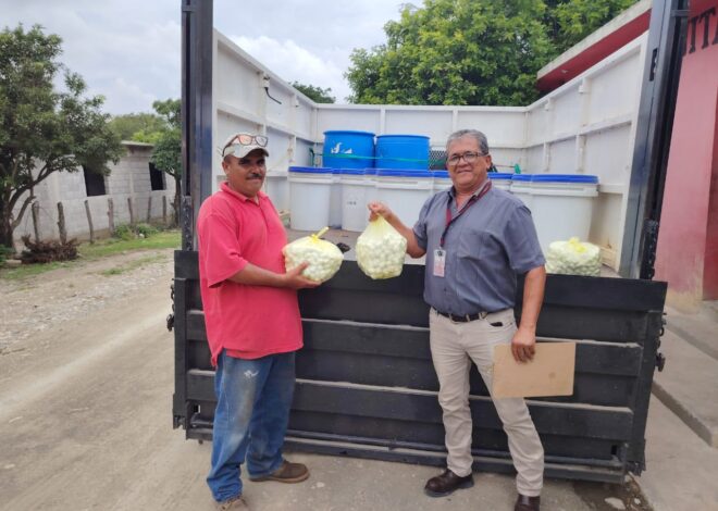 Refuerza Gobierno de Tamaulipas acciones de desinfección del agua en comunidades rurales