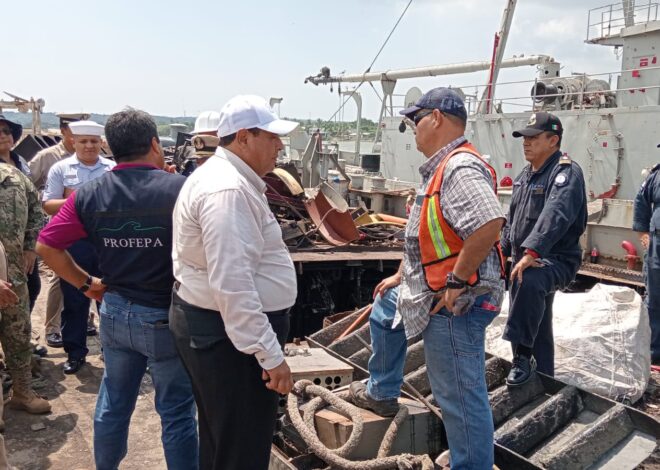 Continúan avances en el proyecto del Sistema Arrecifal Artificial de Tamaulipas