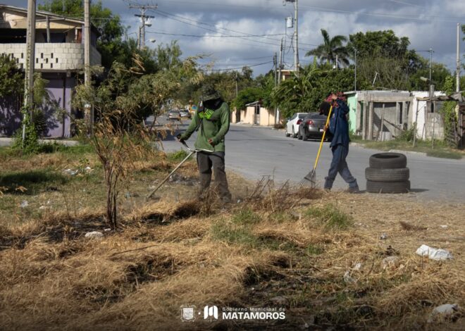 Gobierno de Beto Granados realiza labores de limpieza en la Colonia Universitaria y diversos puntos de la ciudad