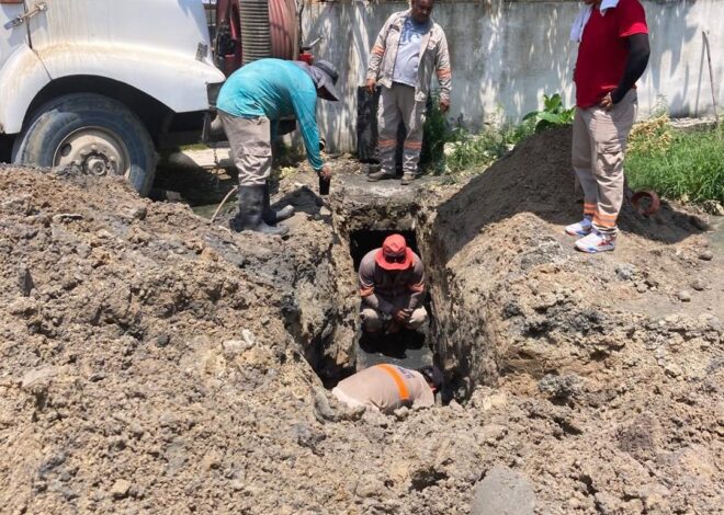 Realiza COMAPA Altamira reposición y conexión de descargas sanitarias