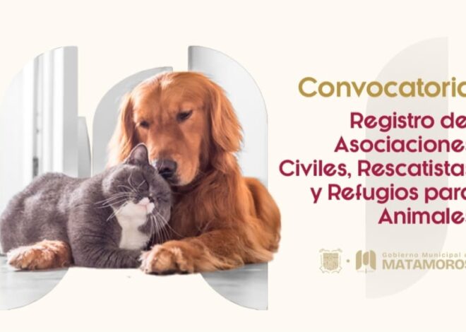 Gobierno de Matamoros lanza registro para rescatistas y refugios de animales
