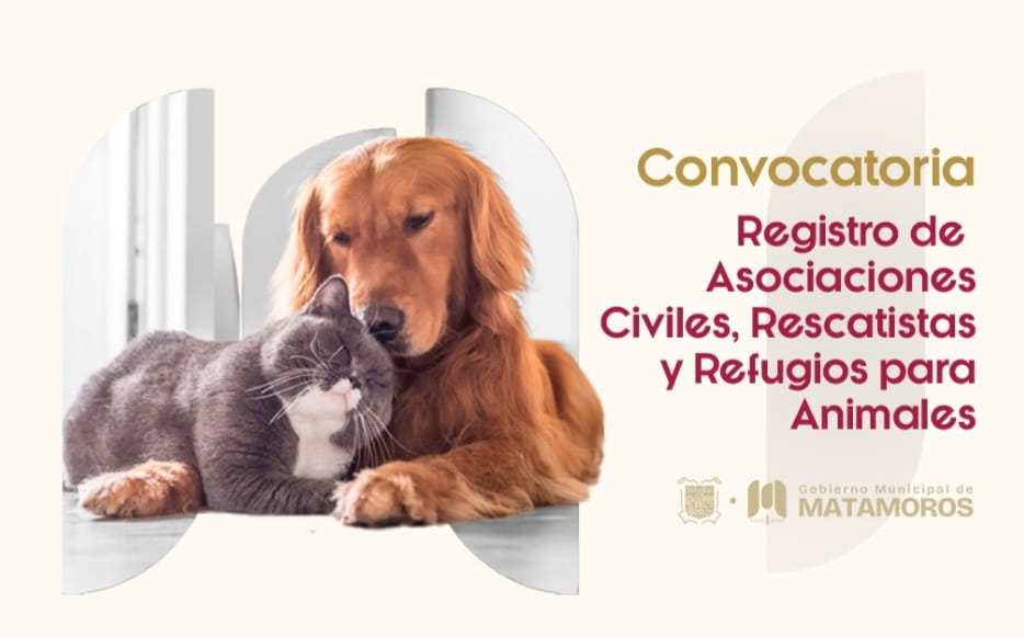 Gobierno de Matamoros lanza registro para rescatistas y refugios de animales