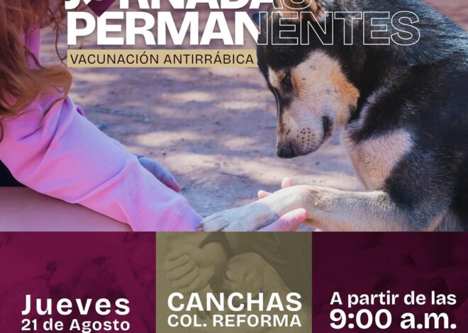 Gobierno de Matamoros efectúa jornada permanente de vacunación antirrábica y descharrización en colonia Reforma