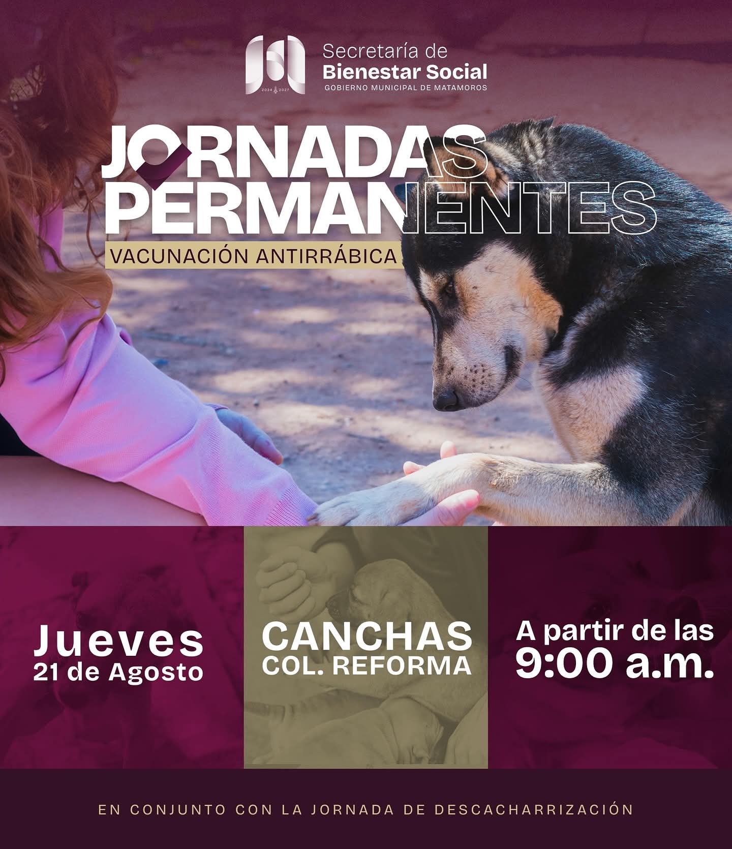 Gobierno de Matamoros efectúa jornada permanente de vacunación antirrábica y descharrización en colonia Reforma