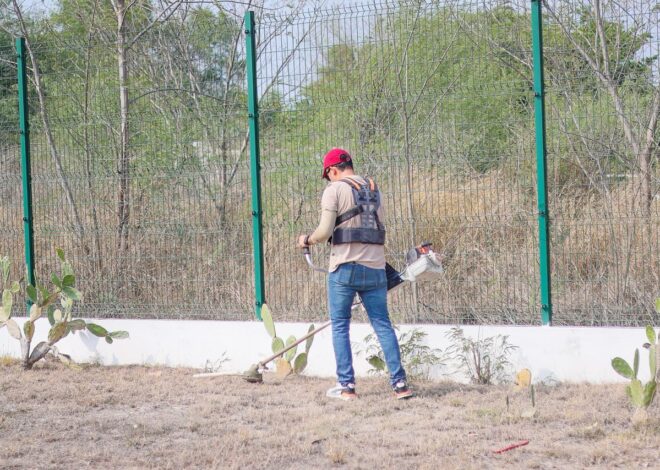 Mejora programa “Impulsando tu Bienestar”, calidad de vida de las y los tamaulipecos