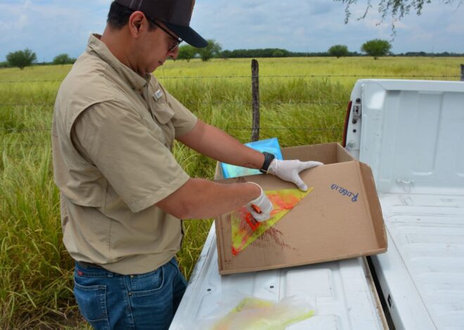 nvInvierte Tamaulipas en prevención y monitoreo contra el gusano barrenador