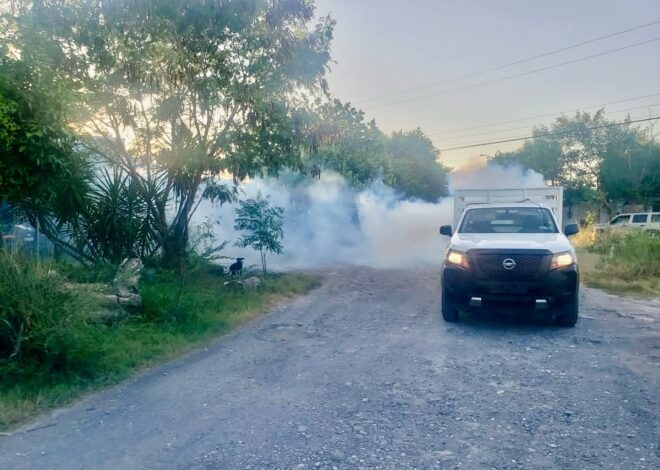 Fumigación intensiva en Matamoros para proteger la salud de las familias