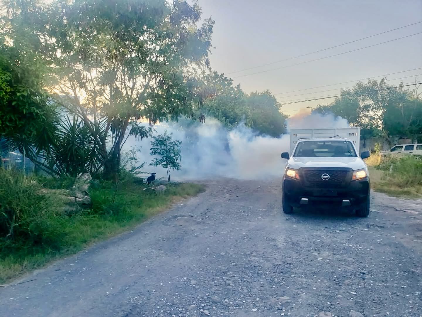 Fumigación intensiva en Matamoros para proteger la salud de las familias