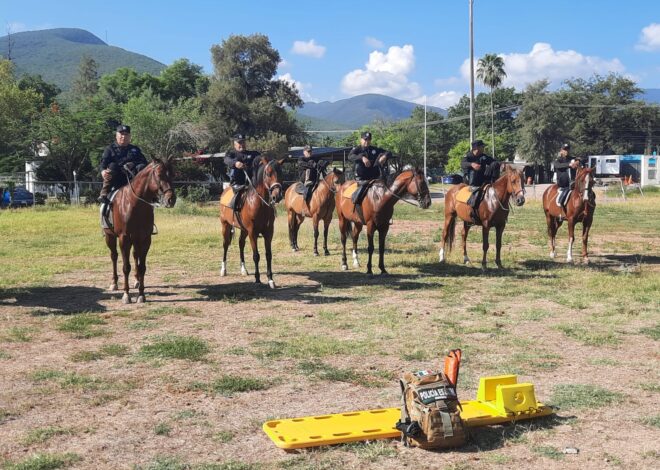 Agrupamiento Montado de la Guardia Estatal se fortalece con gimnasia ecuestre