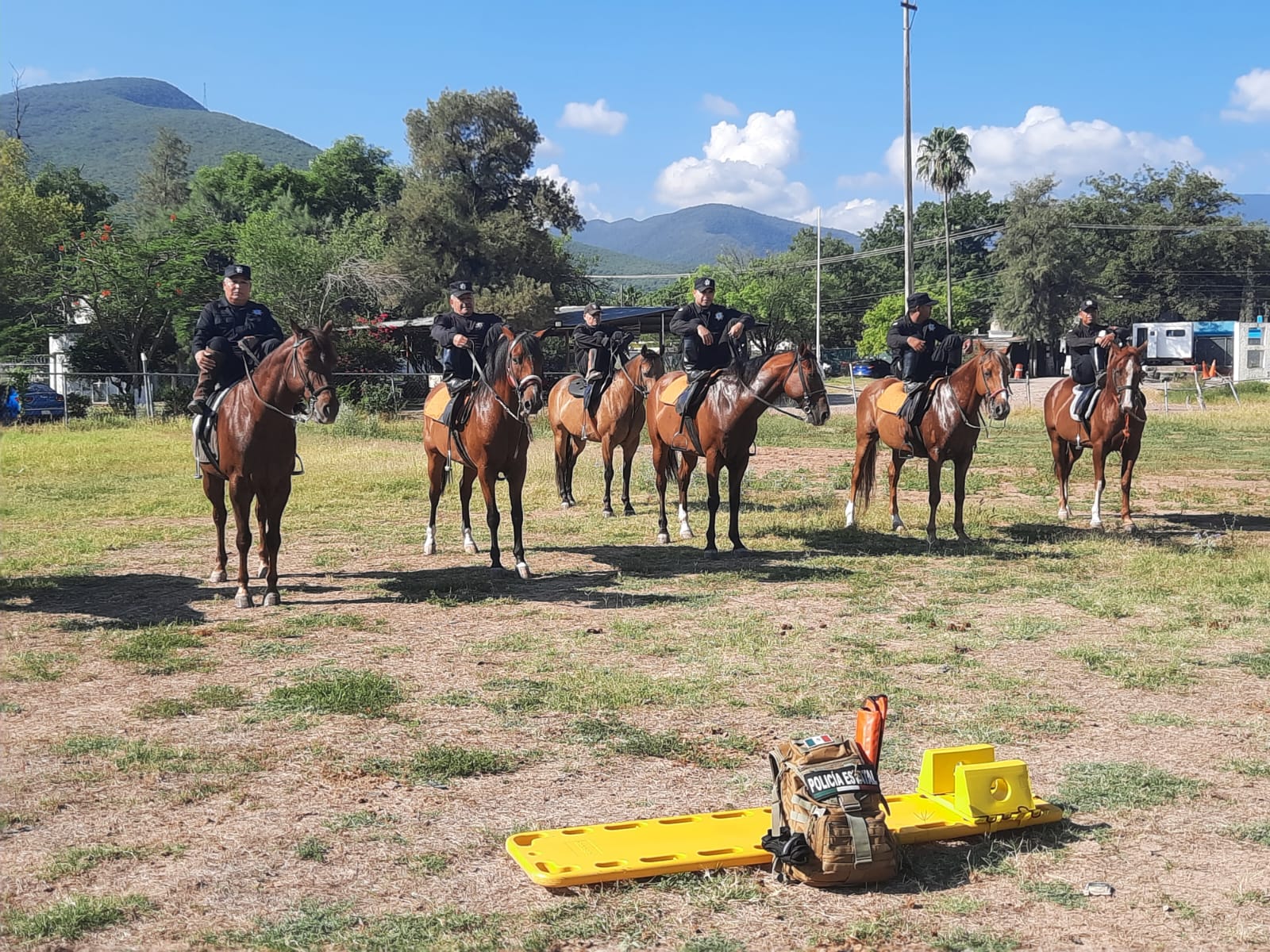 Agrupamiento Montado de la Guardia Estatal se fortalece con gimnasia ecuestre